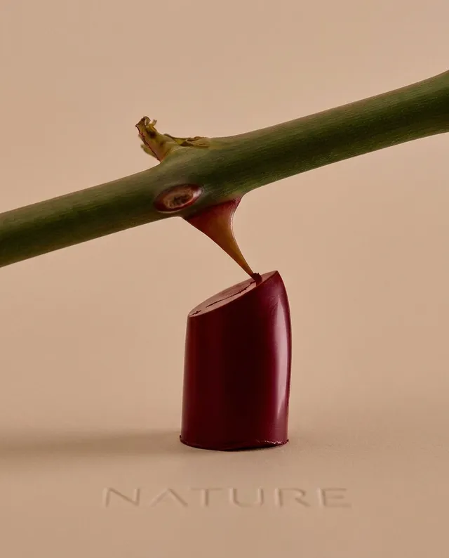 A minimalist still life featuring a vibrant burgundy object balanced against a green branch, set against a soft beige background. The composition exudes a serene and organic mood, highlighting the harmony between natural elements and abstract forms.